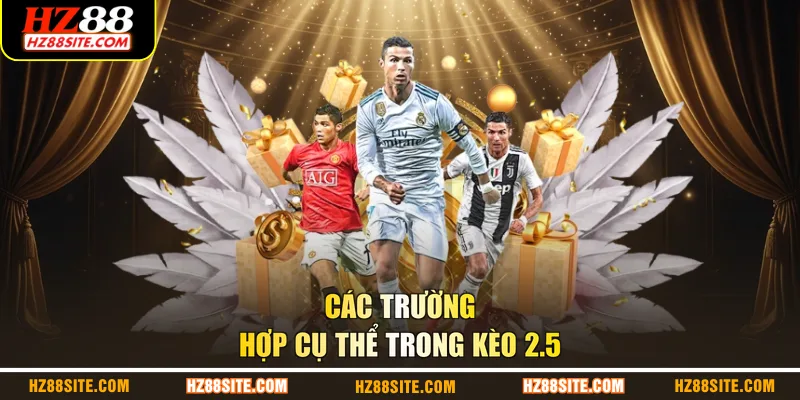 Các trường hợp cụ thể trong kèo 2.5